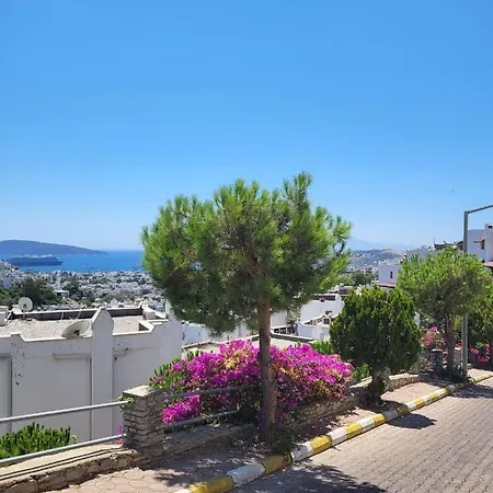 Albatros Sitesi